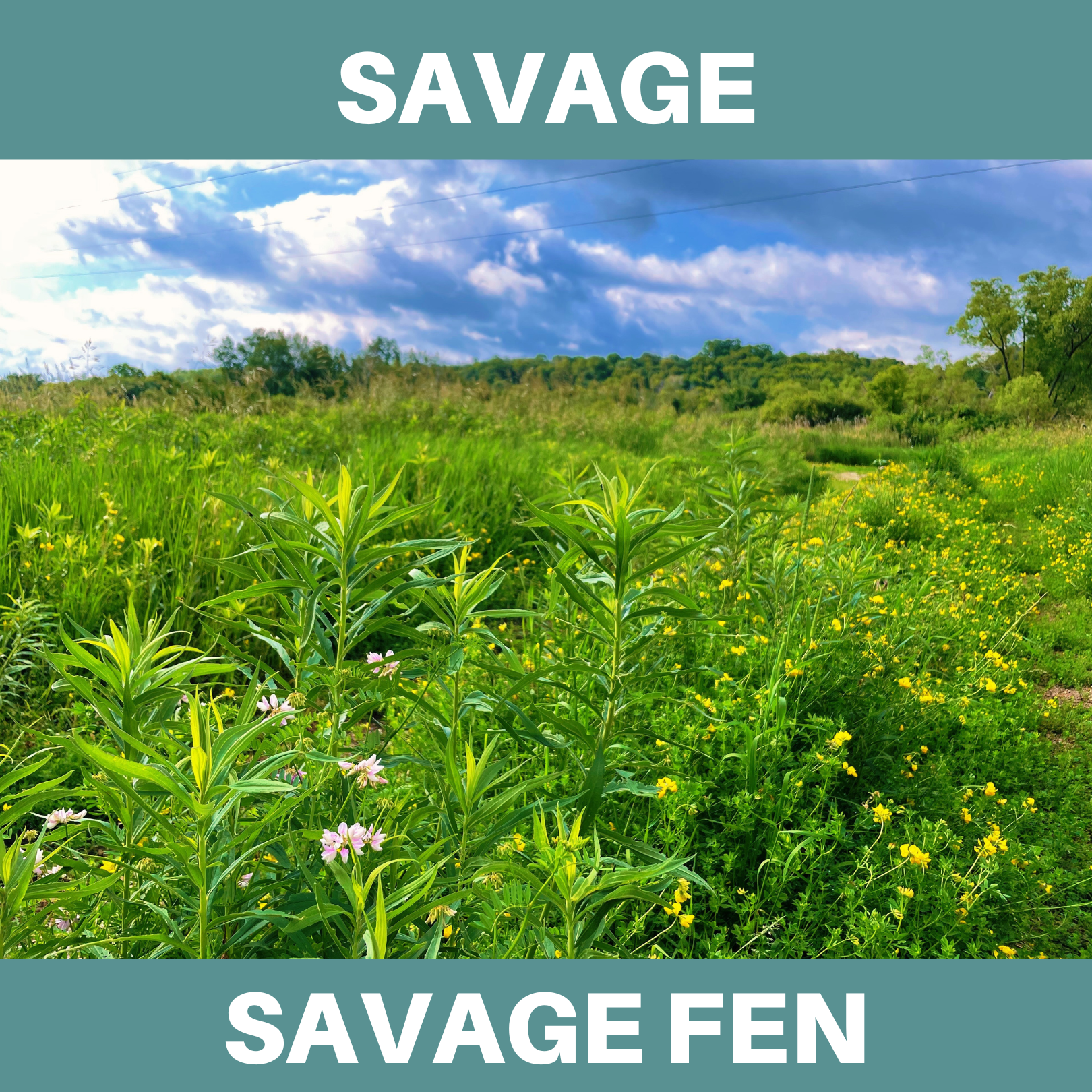 Savage. Savage Fen.
