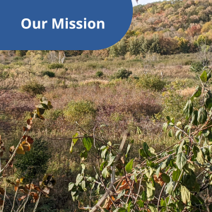 Our mission